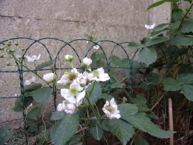 100_2663.JPG