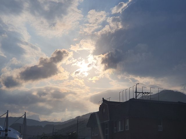 20250825_174629.jpg