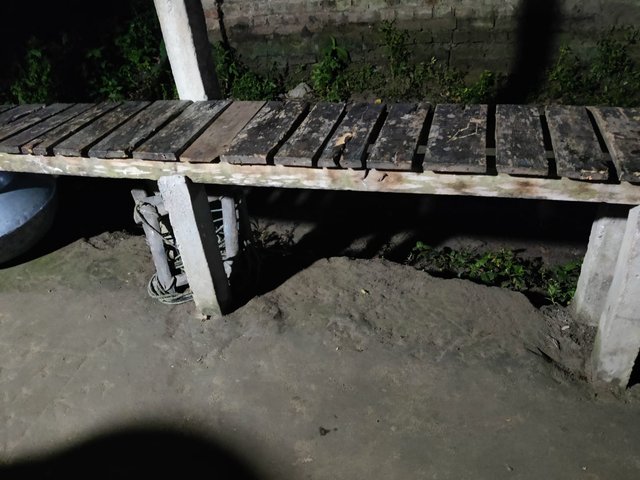 1000049453.jpg