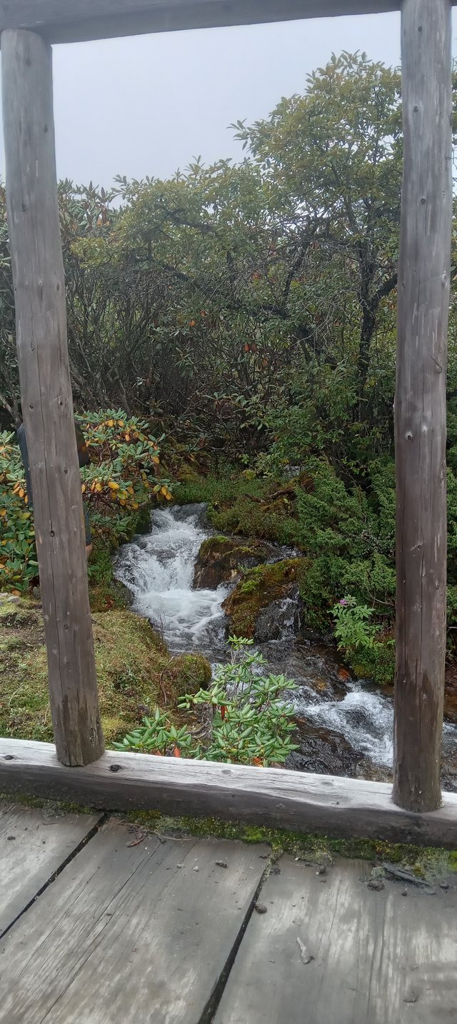 20250912_135237.jpg