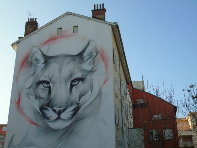 DSC08500.JPG