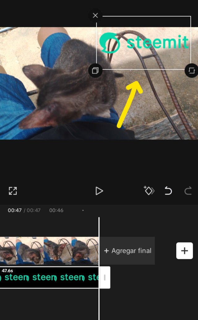 1000038686.jpg