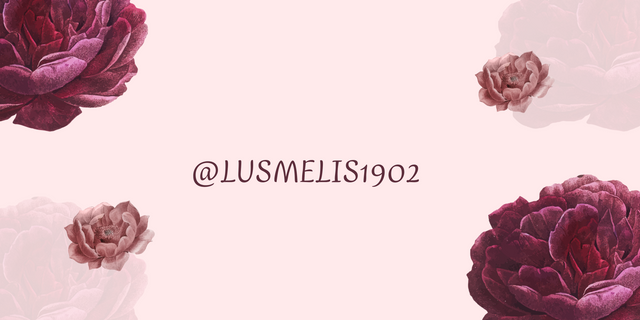 @lusmelis1902_20250627_152910_0000.png