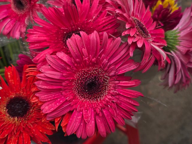 20240704_091958.jpg