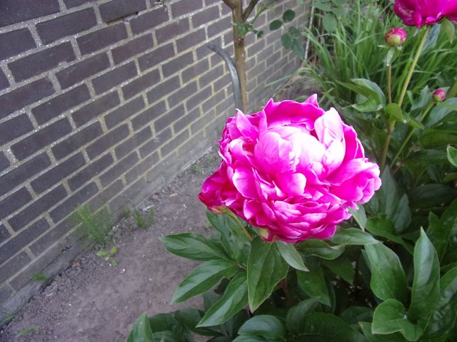 100_2684.JPG