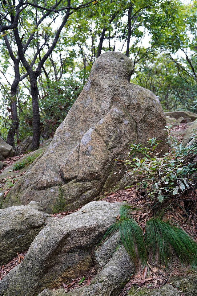 b-DSC02057.JPG