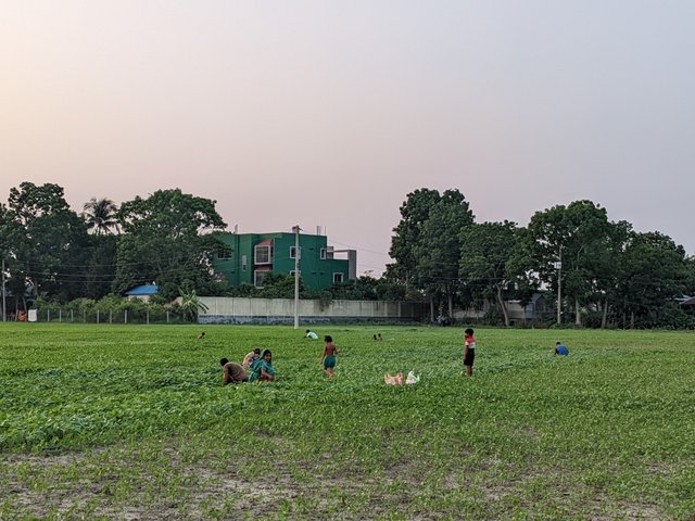 1000026606.jpg