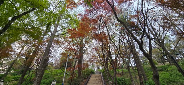 KakaoTalk_20250421_210042984_18.jpg