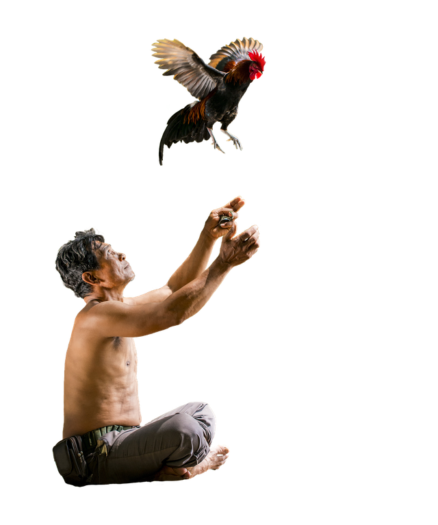 man-4741195_1280.png
