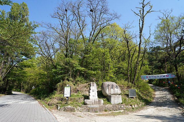 DSC08849.JPG