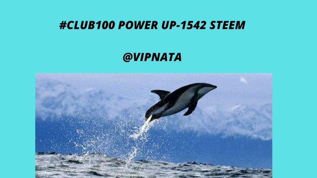 #CLUB100 POWER UP-1542 STEEM @VIPNATA.jpg