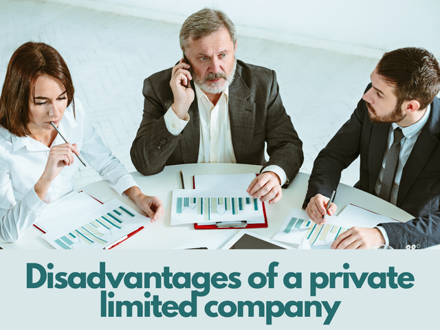 Disadvantages of a private limited company.png