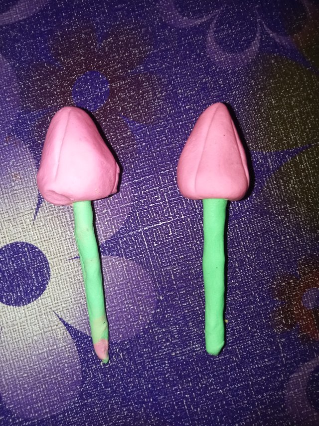 IMG20250507181600.jpg