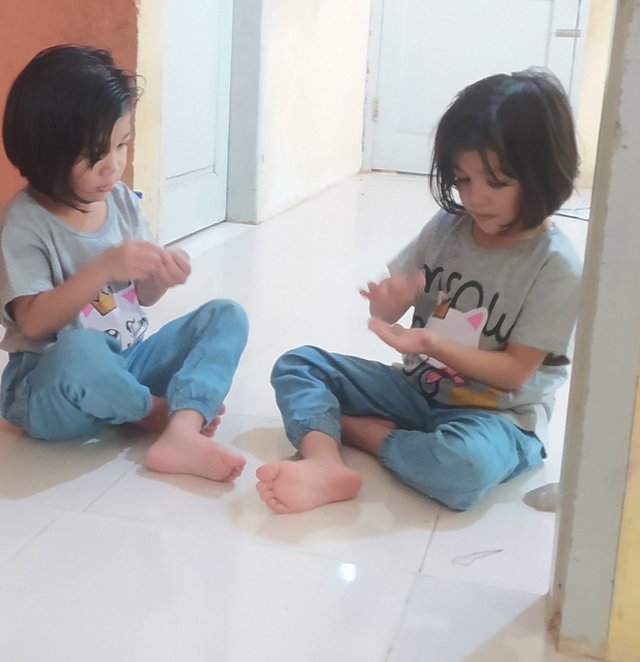 si kembar.jpg