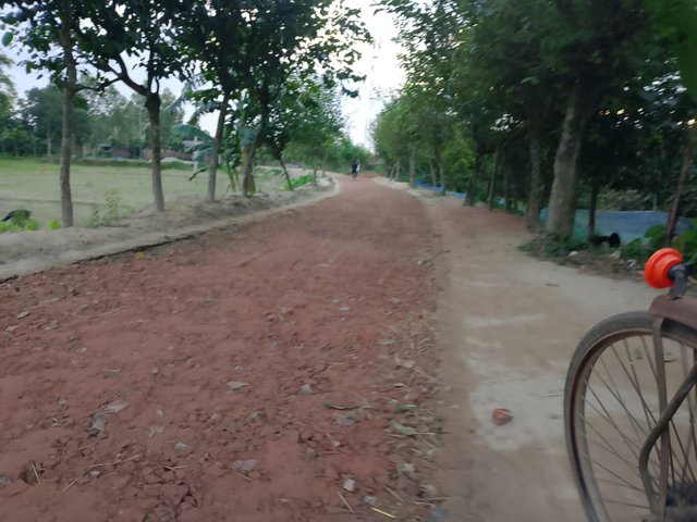 4100.jpg