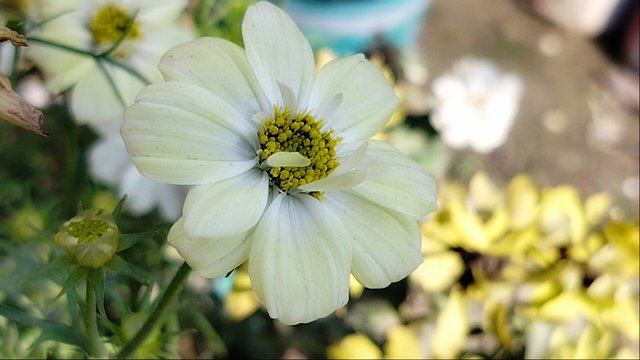 IMG20241229135749_01.jpg