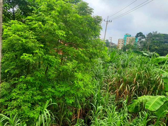 20250807_101416.jpg