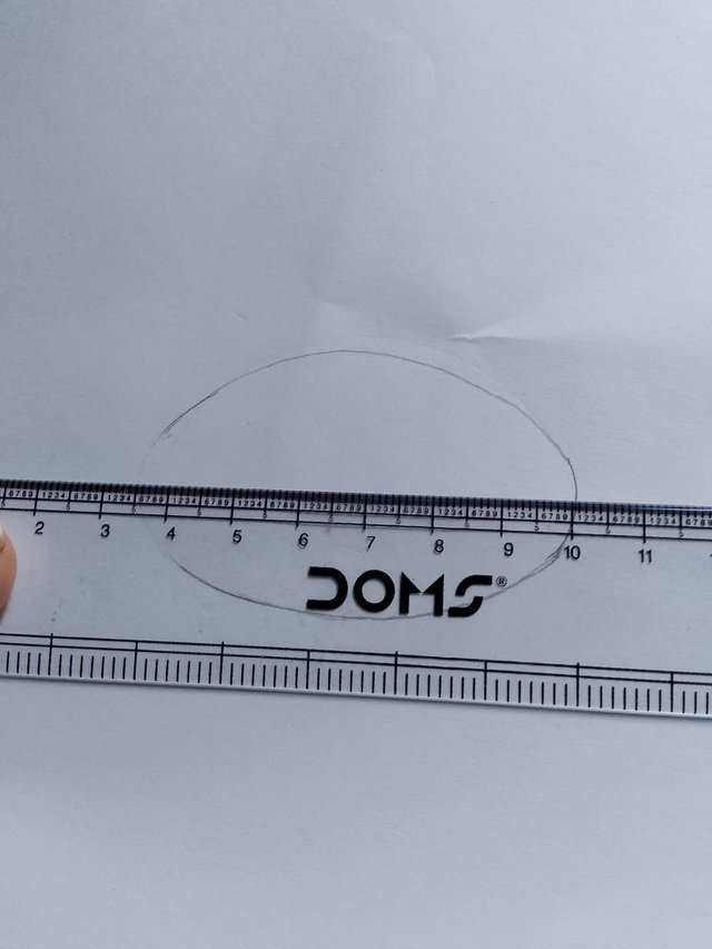 1000053237.jpg