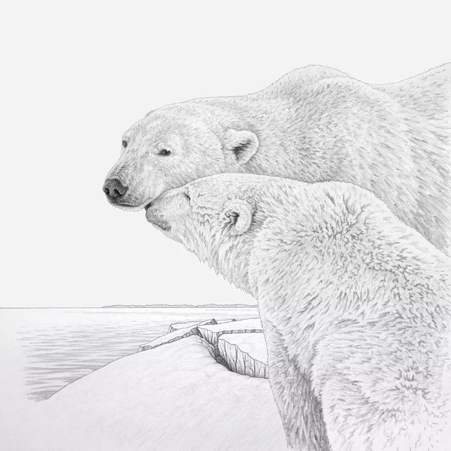 fbig_GPB_Mother_and_Cub_PolarBear.jpg