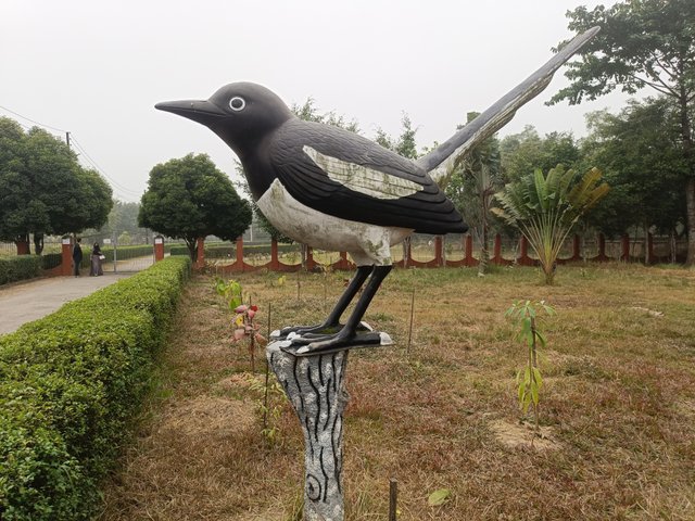 IMG20250103145040.jpg