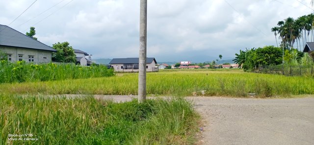 IMG_20240510_113518.jpg