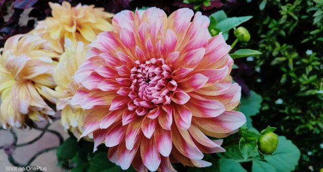 WhatsApp Image 2023-04-03 at 11.58.44 PM (1).jpeg