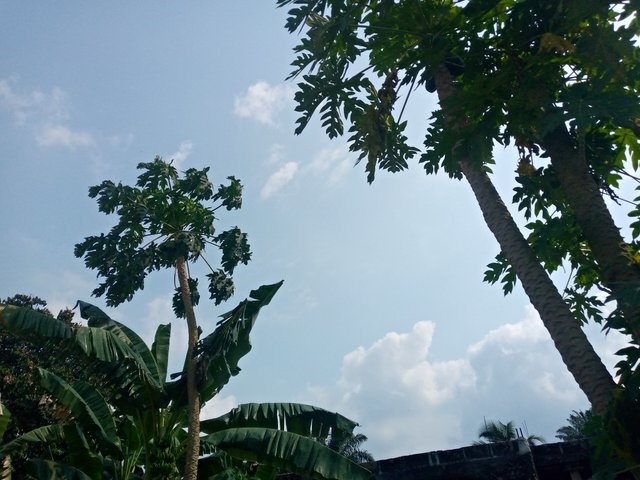 IMG_20250320_151437_790.jpg