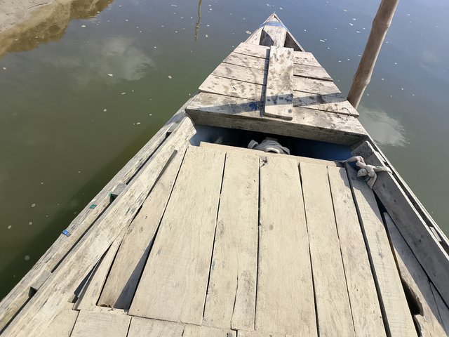 1000047830.jpg