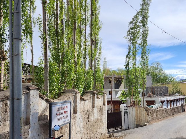 20230602_170528 (1).jpg