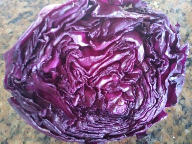 Purple Cabbage color challenge bxlphabet.jpg