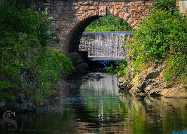 Greens around the falls.jpg