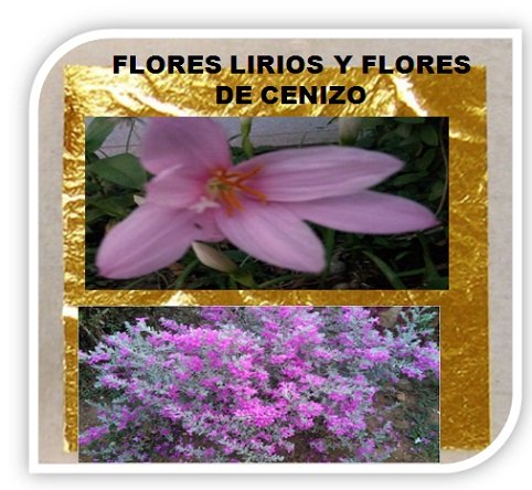 flores de LIRIO Y CENIZO .jpg