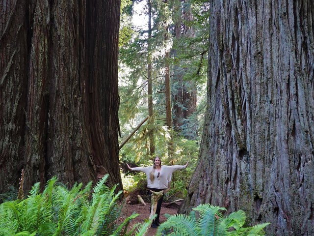 20160526--jess-redwoods.jpg