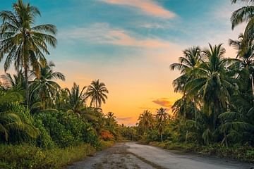 prothomalo-bangla_2024-08-18_ctwid0fc_Day light. pexels.jpeg