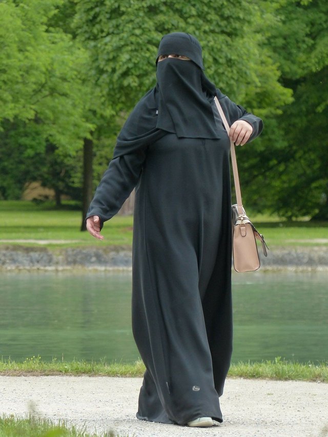niqab-117519_1280.jpg