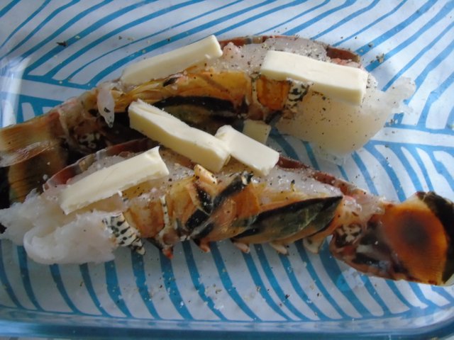 1langouste (8).JPG