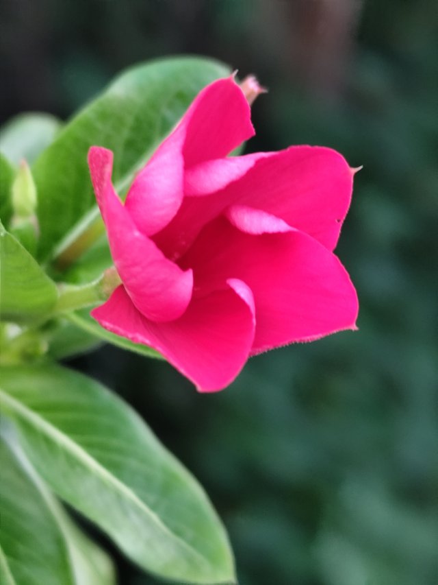 IMG_20250622_181449.jpg