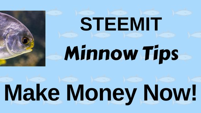 steemit minnow tips make money now fitinfun.jpg