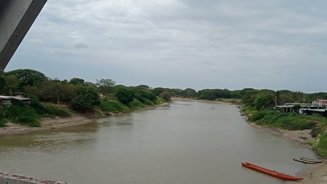 IMG_20250405_094635.jpg
