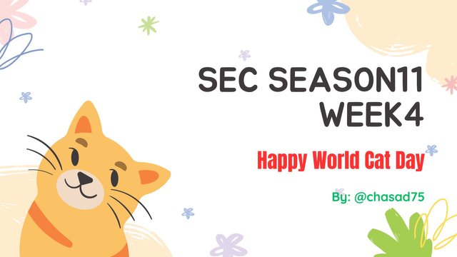 “Steemit Engagement Challenge S11-W4  Happy World Cat Day.jpg