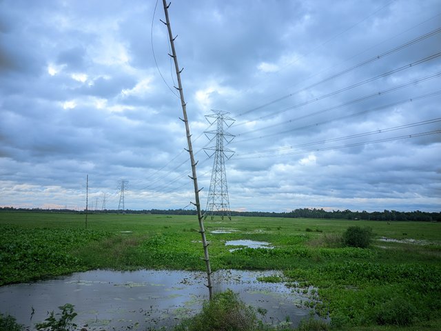 20250725_182957.jpg