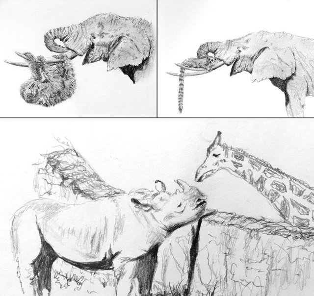 animal-sketches-with-mechanical-pencil.jpg