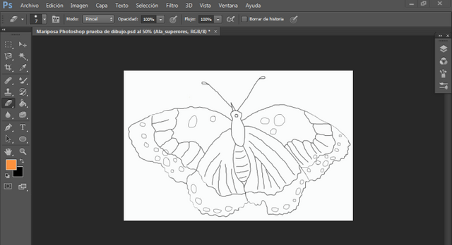 Captura pantalla completa dibujo mariposa boceto photoshop.PNG