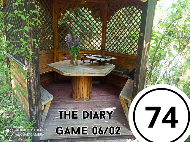 The DIary Game, копия, копия, копия (50).png