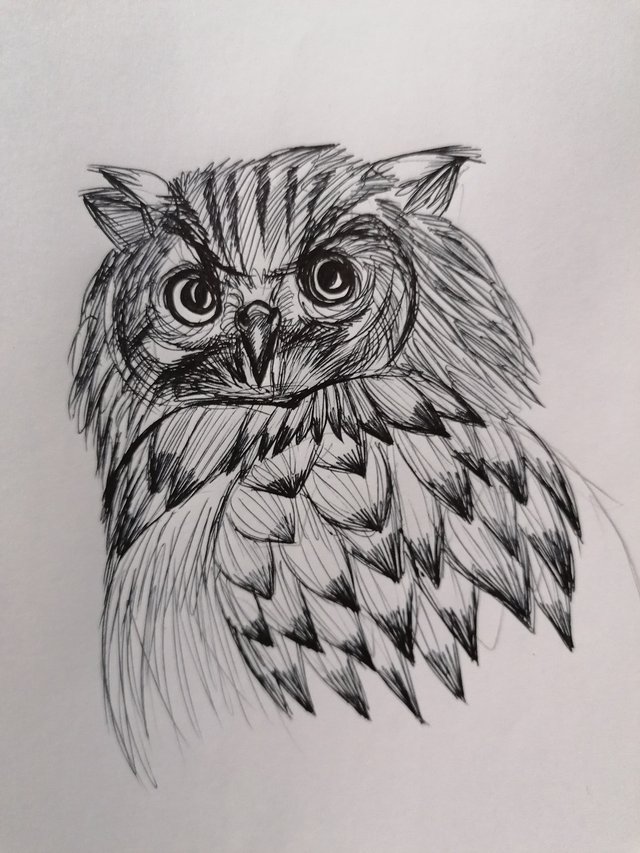 owl pen (7).jpg