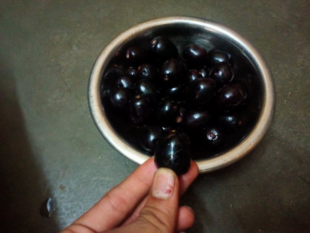 IMG20250616113513.jpg