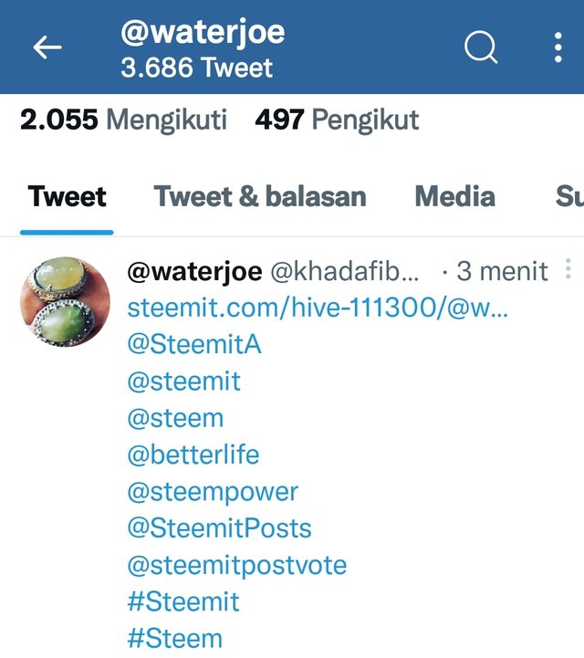 Screenshot_20220722-192410_Twitter.jpg