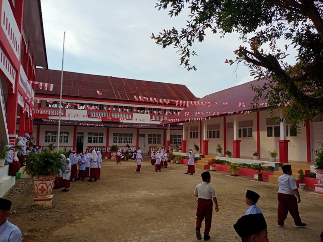 IMG20250817073006.jpg