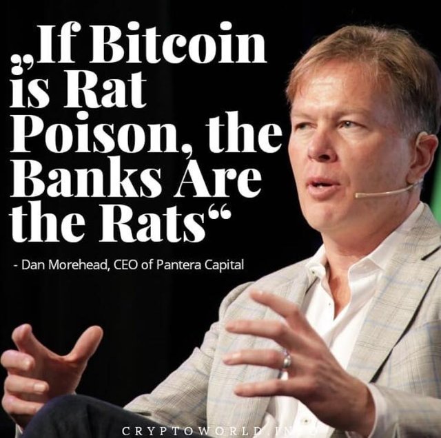 bitcoin-rat-poison-banks.jpg