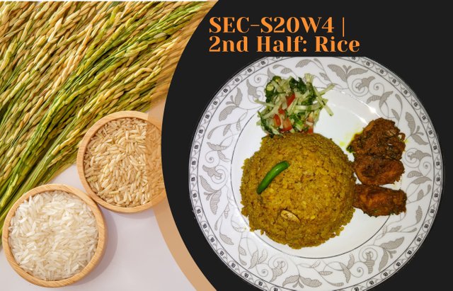 SEC-S20W4  2nd Half Rice by zisha-hafiz”.jpg